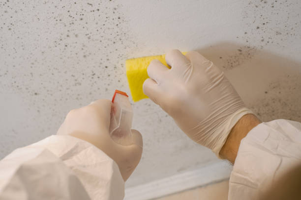 Best Mold Prevention Services  in Pooler, GA